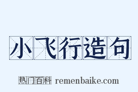 小飞行造句是什么意思的图片